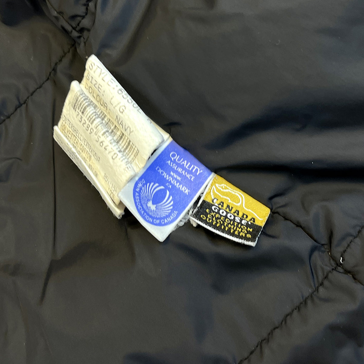 Canada Goose Dark jacket